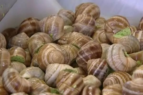 La recette des escargots de Bourgogne est originaire de Bassou dans l'Yonne