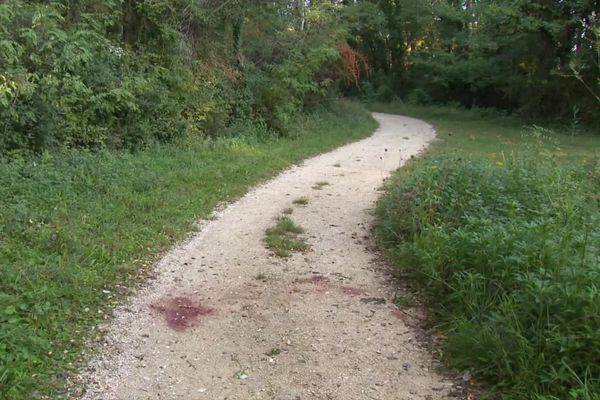 Une marche blanche organisée samedi en hommage au cycliste battu à mort à Soyons (Ardèche). Le jeune homme a été découvert le 7 octobre 2021, au petit matin par un promeneur, sur un chemin bordant le Rhône. 