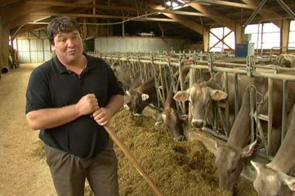 Les vaches devraient être dans les prairies depuis une quinzaine de jours.