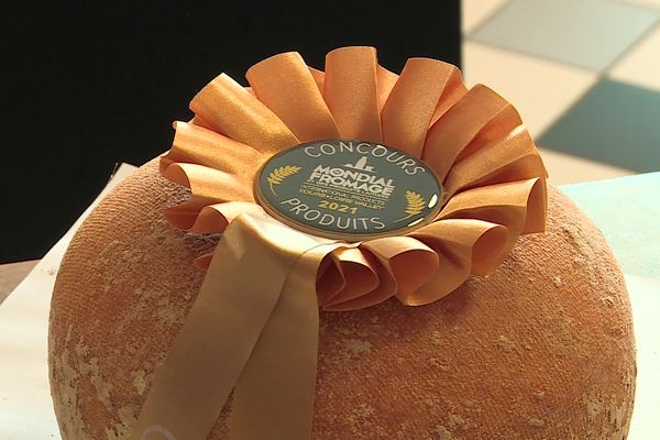 Médaille d'or pour la mimolette 24 mois d'affinage de la fromagerie Sainte-Godeleine de Wierre-Effroy.