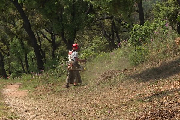 Un ouvrier débroussaille à Grimaud (Var) autour d'arbres encore noircis par l'incendie de 2021.