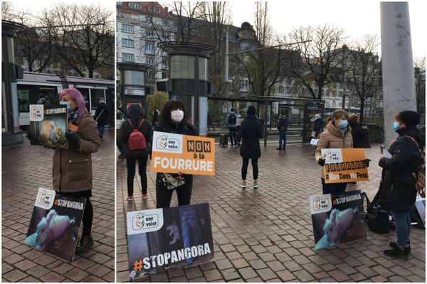 Une dizaine de militantes pour la cause animale s'était rassemblée devant les Halles pour diffuser les cris de souffrance des lapins angora.