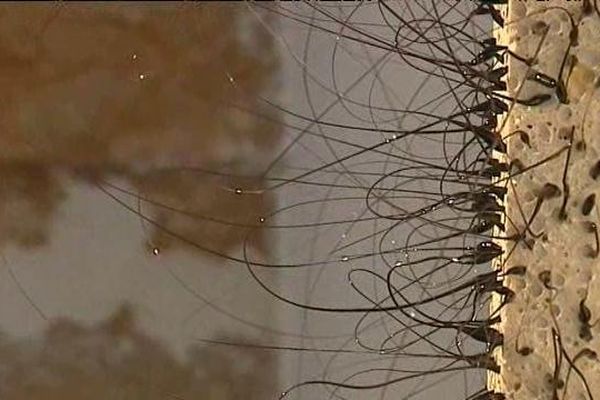 Des installations où le verre soufflé prend vie.