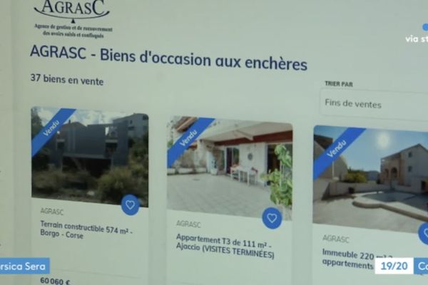 En France, l'Agrasc était chargé jusqu'ici de vendre aux enchères, à des particuliers, les biens confisqués. 