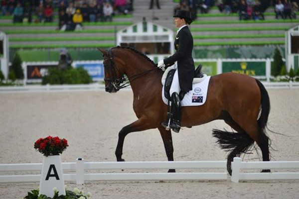 Jeux Equestres Mondiaux 2014 - Epreuve de dressage lundi 25 août au Stade d'Ornano à Caen (Calvados)