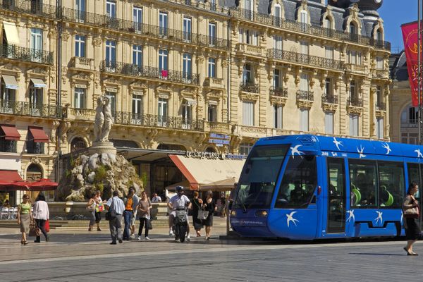 Les transports ont favorisé la première place obtenue par Montpellier, au rang des meilleures villes étudiantes de France.