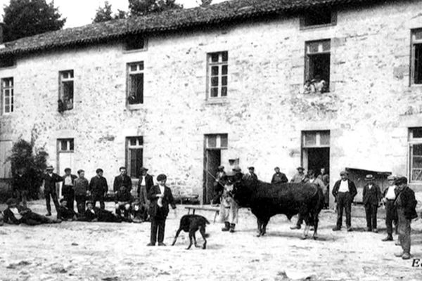 Pendant soixante-quinze ans, l'école d'agriculture de Peyrilhac (Haute-Vienne) fut la pépinière de nombreux talents.