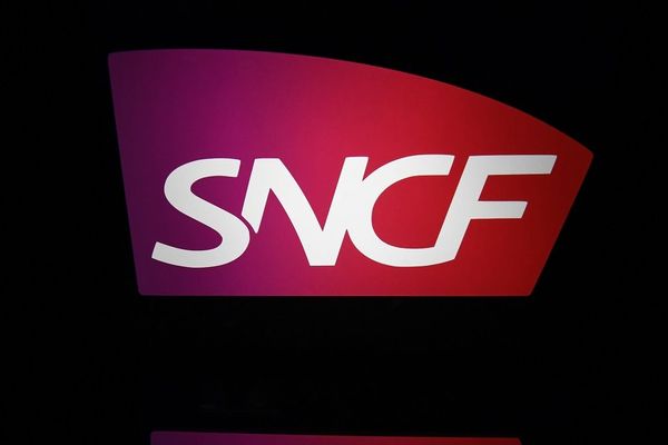 Le trafic régional et intercités de la SNCF sera très perturbé ce vendredi 3 janvier en raison du mouvement de grève interprofessionnel contre la réforme des retraites.  