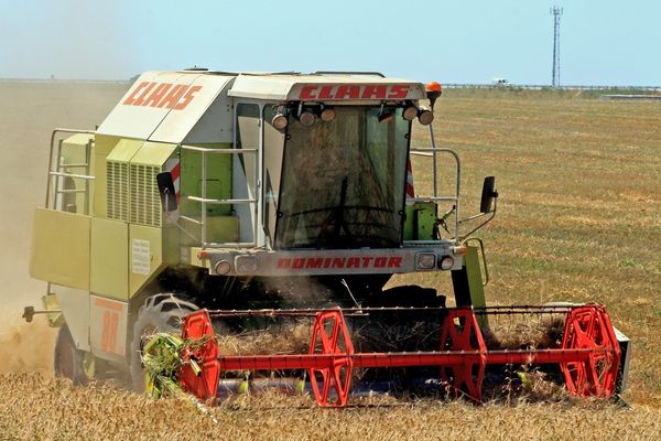 Pour le directeur de la DIRECCTE, le nombre élevé d'accidents du travail serait dû, entre autres, à la forte activité agricole dans la région. Ici, un agriculteur en plein travail à Saint Aunès dans l'Hérault. / Juillet 2007.