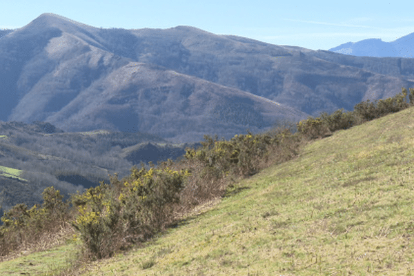 Le col de Lizarrieta est particulièrement plébiscité par les chasseurs de Palombe.