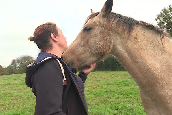 Diane de Charmasse a perdu l'une de ses juments de compétition, le 6 novembre 2024, tuée par un chasseur qui se trouvait sur sa propriété.