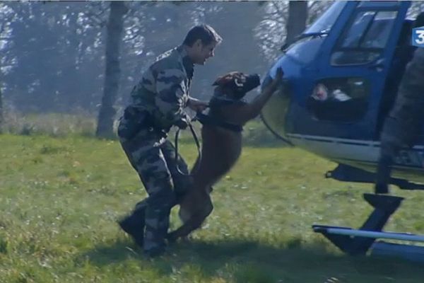 Une équipe cynophile de la brigade de gendarmerie de Loire Atlantique au cours d'un entraînement en hélicoptère.