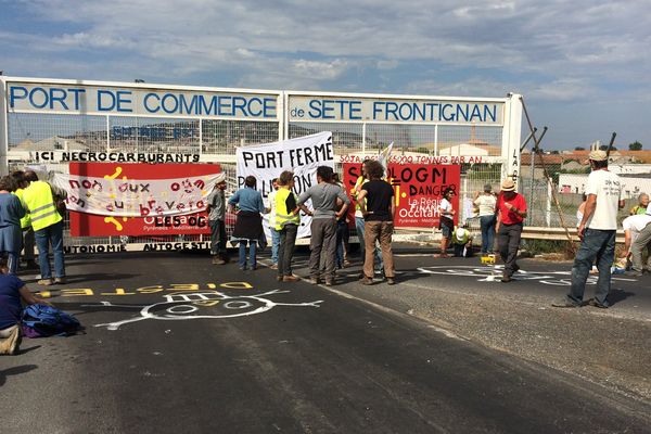 Les Faucheurs volontaires dénoncent l'importation de colza transgénique - 10 juillet 2017.