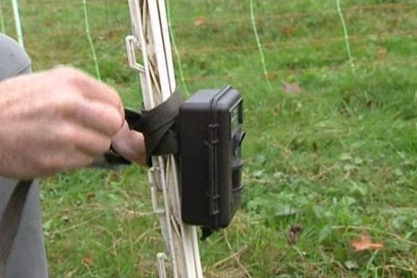 Un des  pièges photographiques installés à Auxelles Haut