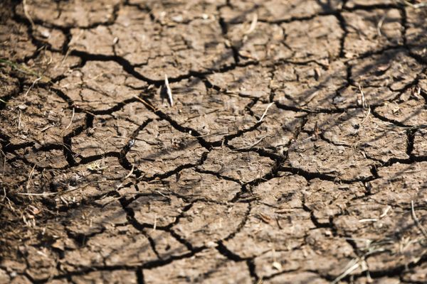 Le pic de chaleur qui débute ce 7 août en Centre-Val de Loire pourrait être particulièrement long. Photo d'illustration