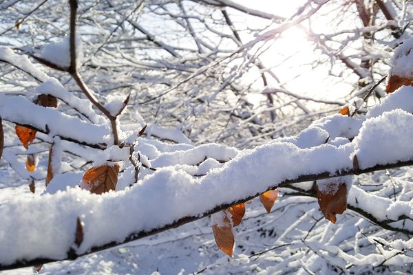 Première neige dans l'Orne - 13 janvier 2017