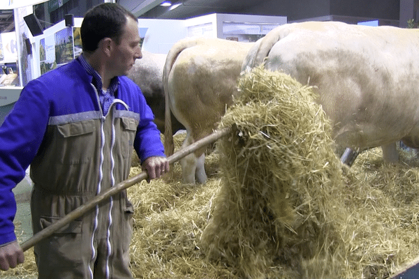 Jean-Pierre Planté, éleveur de Blondes d'Aquitaine