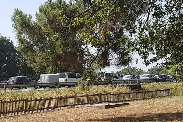 Depuis l'aire de Cestas, juste après Bordeaux, sur l'A63, les bouchons étaient bien visibles.