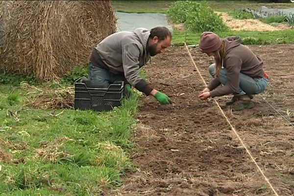 Ce couple a fondé "La Petite Surface" et produit 100% bio