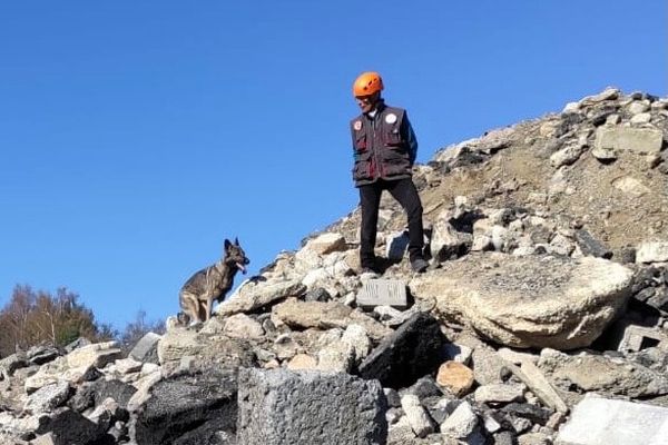 Les chiens doivent retrouver une personne enfouie sous des décombres