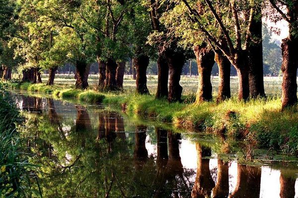 Le marais poitevin