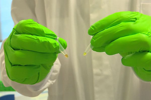 Laboratoire de la police scientifique à Toulouse : Des tests désormais  faciles à utiliser 