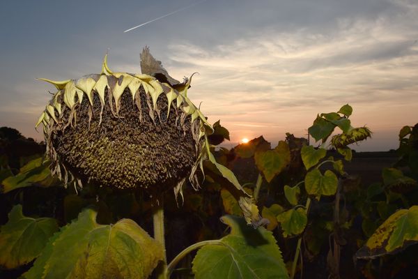 La situation de sécheresse qui dure depuis le début de l'été s'aggrave en Savoie.