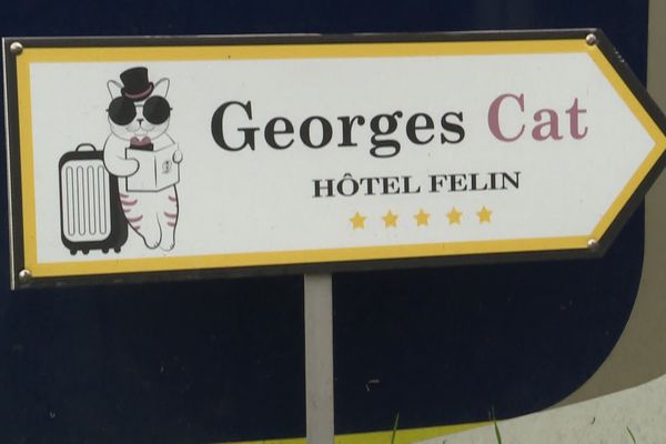 Le George Cat est ouvert toute l'année, à Vertou, en Loire-Atlantique.