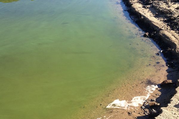 Des cyanobactéries sont présentes dans l'eau du lac des Fades-Besserve (Puy-de-Dôme) à la mi-octobre 2017. 