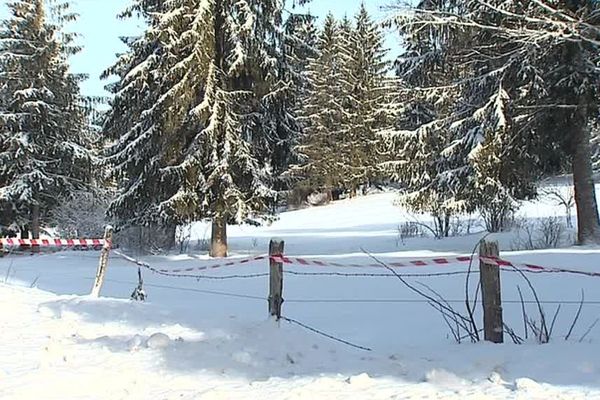 L'appareil avec deux militaires à bord s'est écrasé dans une zone boisée et de pâturages. 