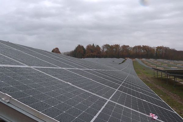 À une vingtaine de kilomètres à l'est de Limoges, à Royères (Haute-Vienne), une forêt privée pourrait un jour ressembler à une ferme solaire de trois mètres de hauteur, composée de 53 000 panneaux photovoltaïques. (photo d'illustration)