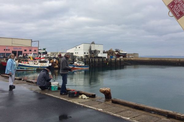 Port de Douarnenez