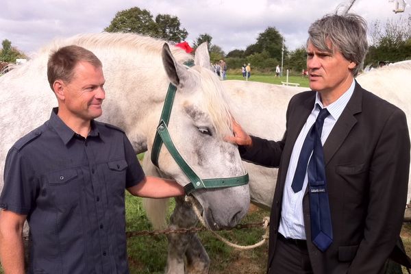 Prix des céréales :"chacun devra faire des efforts dans cette situation exceptionnelle", a précisé Stépahne Le Foll en marge de l'inauguration du comice agricole à Chemiré-en-Charnie dans la Sarthe