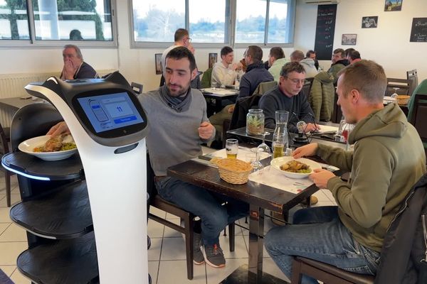 Dans le Lot, un restaurant s'est équipé du premier robot-serveur du département.