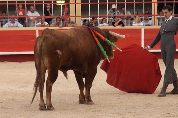 Thomas Joubert a sa place dans les meilleurs cartels des grandes ferias. Les organisateurs l'ignorent, mais le public le sait.