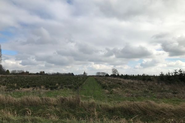 Ciel peu nuageux à nuageux ce vendredi