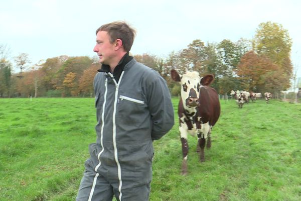 Cet agriculteur laitier de Seine-Maritime redoute une casse des prix du marché en cas d'accord avec le Mercosur.