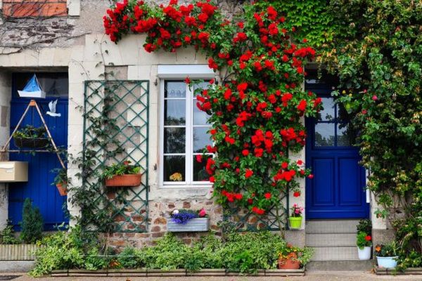 Façades sur le quai à Chalonnes-sur-Loire