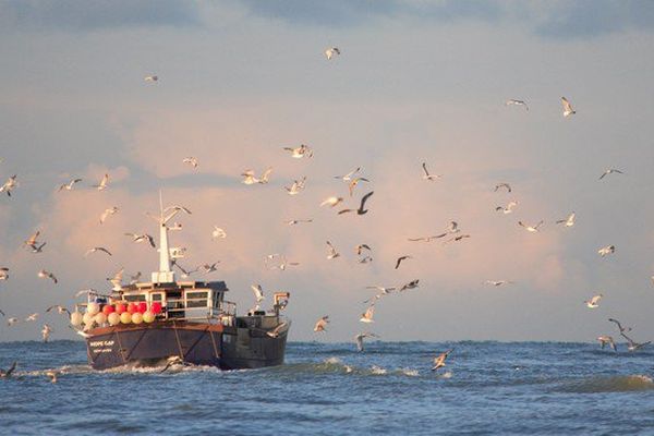 Les marins-pêcheurs du Pas-de-Calais pourraient souffrir du retrait de la Grande-Bretagne de l'Union européenne 