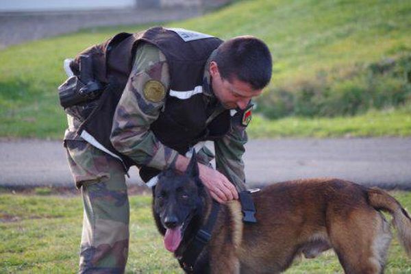 Itan est un chien de gendarmerie du Puy-en-Velay, qui a été décoré et a sauvé plusieurs vies.