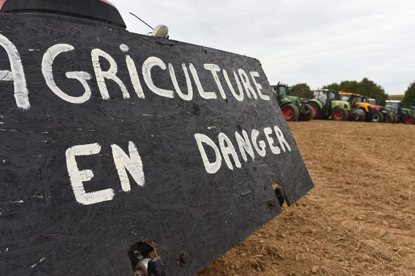 le malaise du monde agricole s'exprime dans la rue. Image d'illustration.