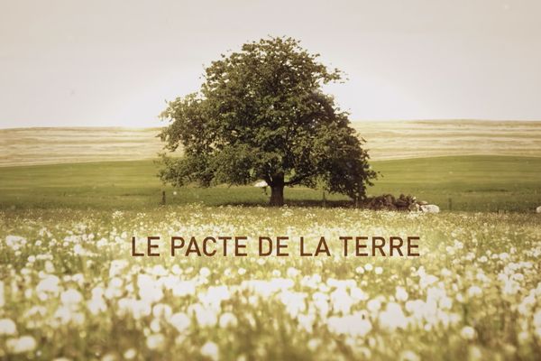 La terre : comme un petit goût de paradis qui ne colle pas à la réalité.