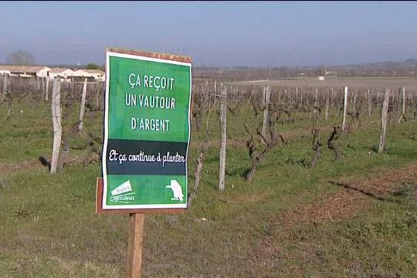 L'une des pancartes des Jeunes Agriculteurs dénonçant les pratiques de certains viticulteurs du Cognaçais.