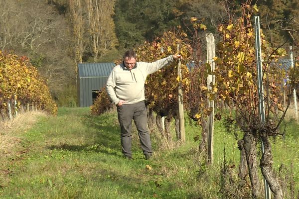 Renaud Jean, viticulteur dans l'Entre-deux-Mer, le 15 novembre 2023.