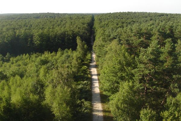 La forêt domaniale d'Orléans s'apprête à dévoiler ses secrets. Grâce à des informations recueillies par un laser, l'Office national des forêts va pouvoir en savoir plus sur sa végétation et son relief.