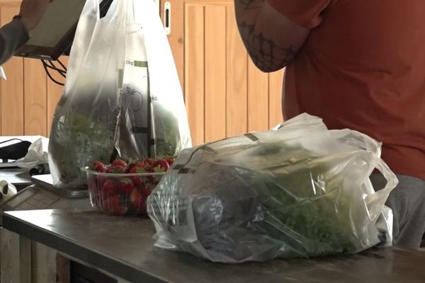 Des voleurs s'introduisent dans des fermes pour dérober des fruits et des légumes