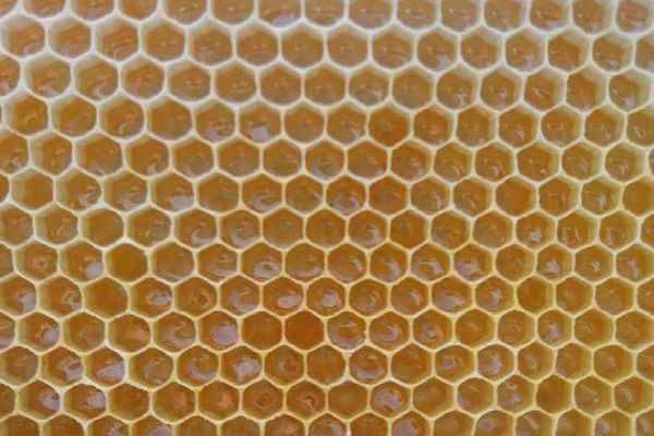 A peine placées, les hausses sont remplies de miel, du jamais vu en début de saison, depuis 20 ans