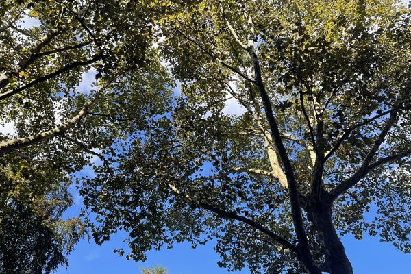 Le ciel lillois en pleine nature