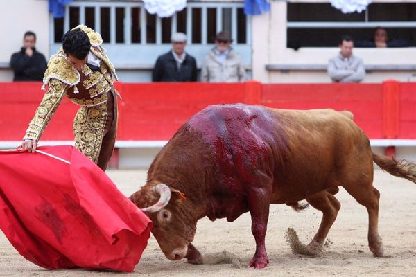 Desestierto, le remarquable toro de Gallon dans la muleta de Morenito de Aranda