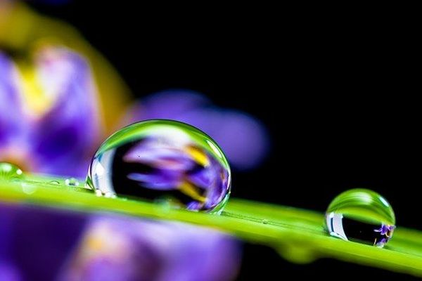 Profitons de la pluie pour regarder la nature d'un oeil différent